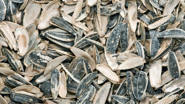 El Ayuntamiento de Cádiz repartirá 20.000 pipeleras para depositar las cáscaras de pipas durante la Semana Santa