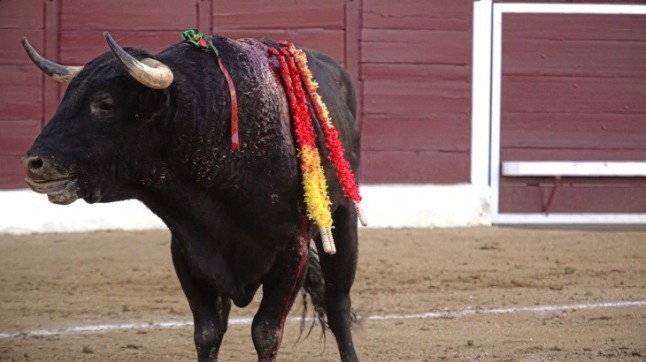 Madrid clamará para pedir la abolición de los toros