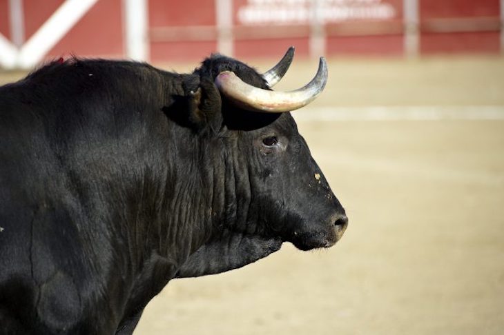 El dinero de ‘todos’ al servicio del placer de los taurinos