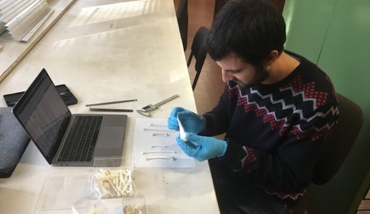 Los secretos para que las aves puedan ser buenas urbanitas