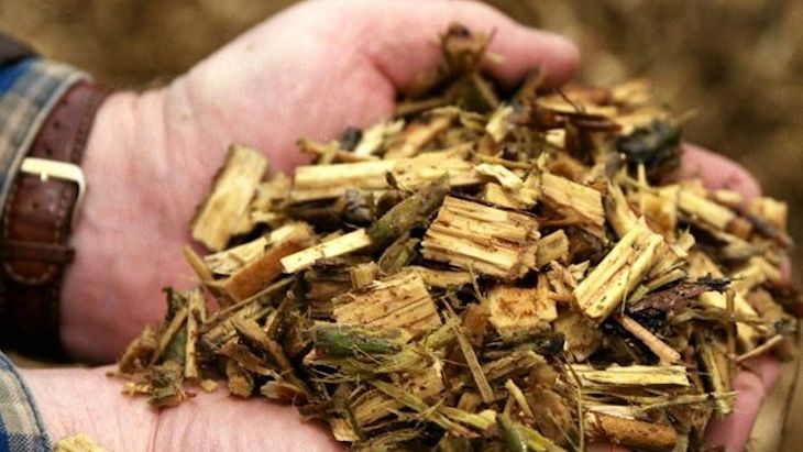 Greenalia toma posiciones en la energía basada en biomasa