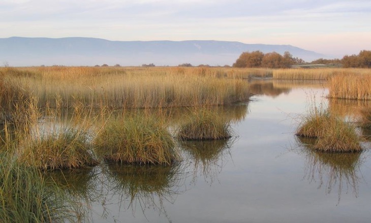 Los humedales costeros ‘al borde del abismo’