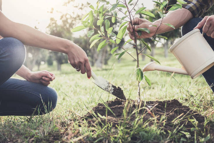 Reforesta ‘miles de árboles’ en toda España con su iniciativa de educación ambiental Regala un Árbol