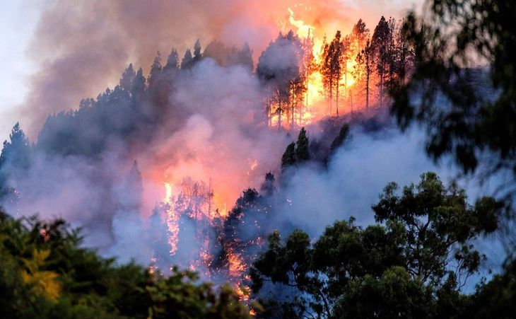 6.200 incendios en España en lo que va de año