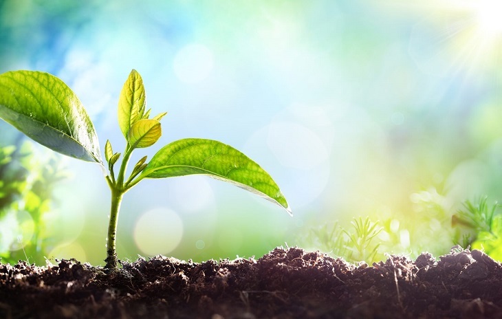 El COVID-19 acelera una década los compromisos ambientales