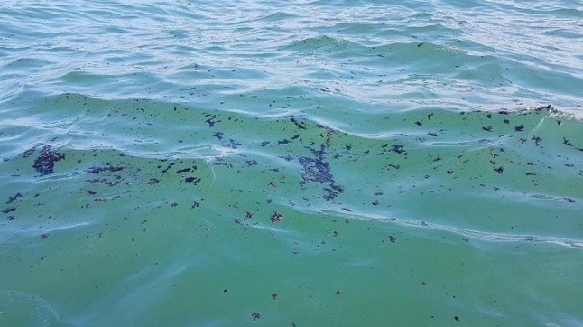 Pregunta al Gobierno: cómo solventará el accidente del derrame de crudo próximo a Doñana