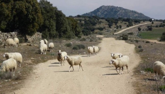 La Ley del PSOE-A sobre caminos públicos rurales avanza con paso firme