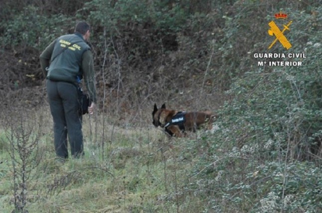 Un delincuente de La Rioja bajo sospecha por el uso de cebos envenenados en el medio natural