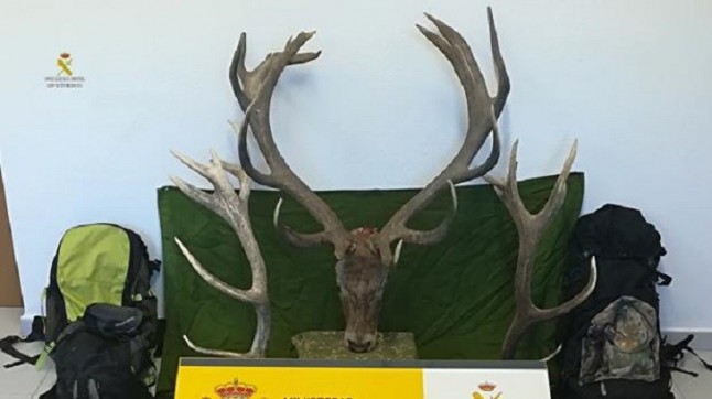 Pillados tres delincuentes por caza furtiva de dos ciervos en época de veda en El Pedroso (Sevilla)