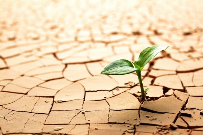 COP 24: EQUO insiste en que España debe mantener los compromisos en la lucha contra el Cambio Climático