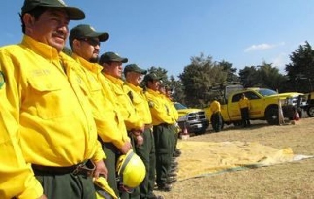 Cerca de 22 mil combatientes forestales
