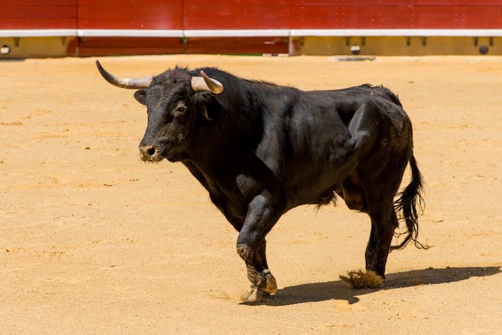 España ‘ampara’ inexplicablemente al sector taurino