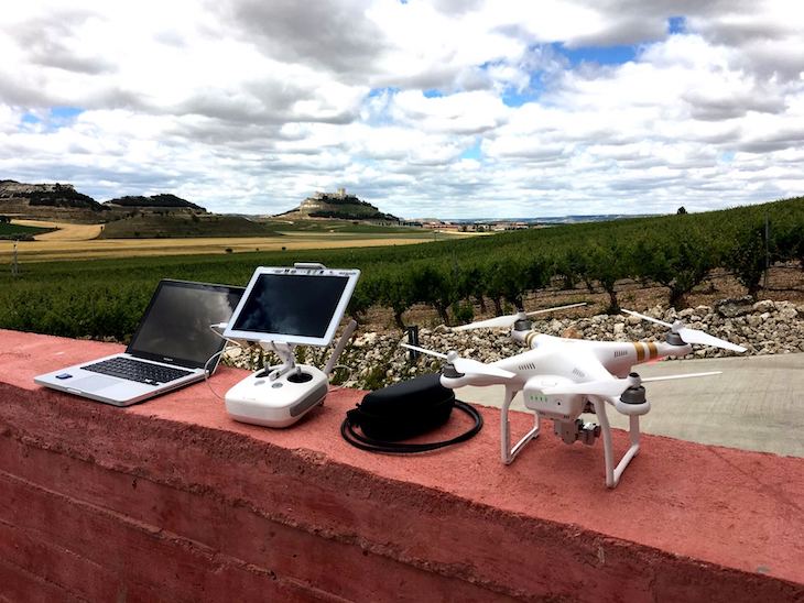 Calentamiento global. Finaliza el proyecto de I+D Globalviti con avances significativos en la mejora de la producción vitivinícola frente al cambio climático