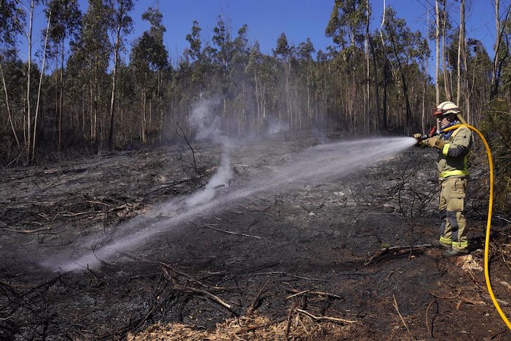 Los incendios forestales registrados en Galicia afectan a unas 500 hectáreas