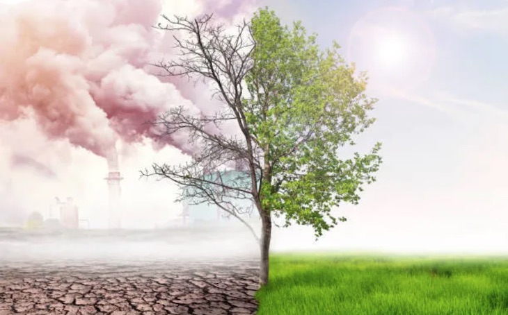 Prueba del rescate evolutivo en la naturaleza ante el cambio climático