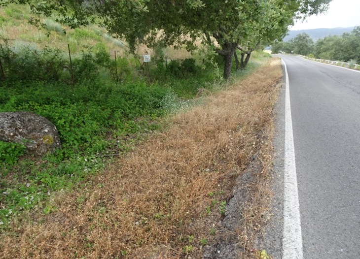 Contaminación generalizada por glifosato en el agua del Parque Natural Sierra de Grazalema