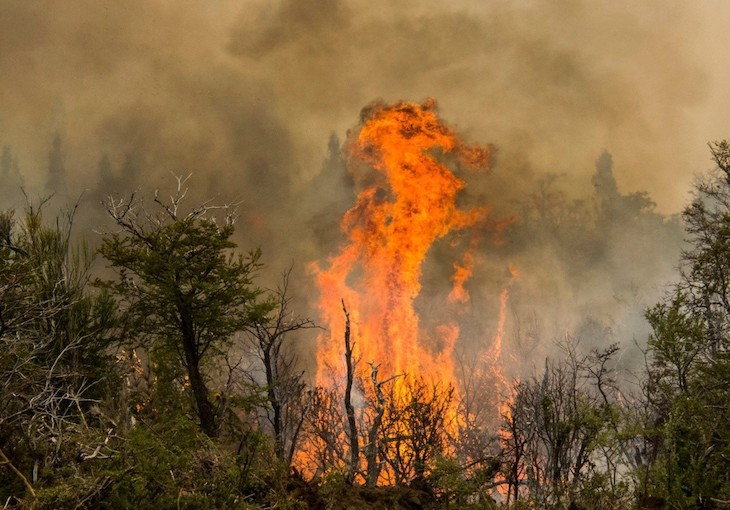 Acuerdan acciones para inhibir el uso del fuego en zonas forestales y agropecuarias de México