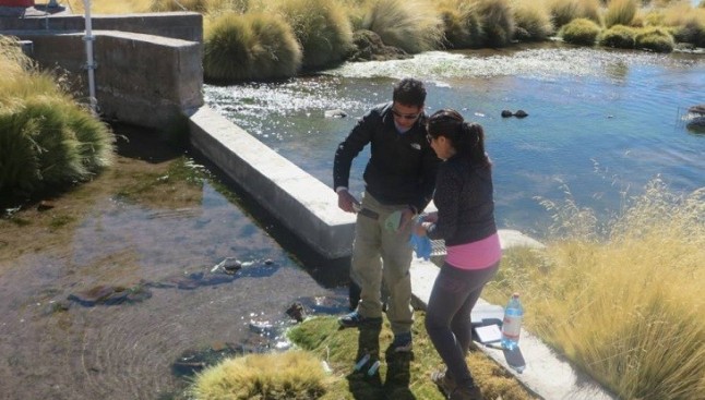 Bacterias para limpiar el agua contaminada de arsénico Científicos chilenos las usaron y resultó