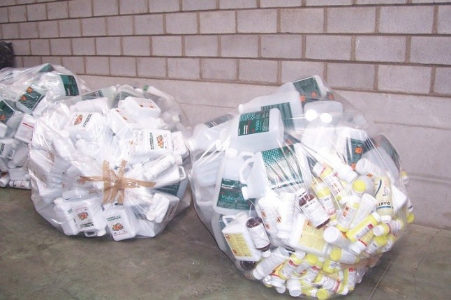 Los arroceros de Sevilla