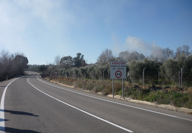 España pone en marcha el Plan SAFE para evaluar la mortalidad de fauna por atropellos