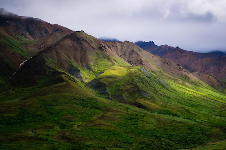 El Ártico cada día se hace más verde pero no absorbe lo que debería de CO2