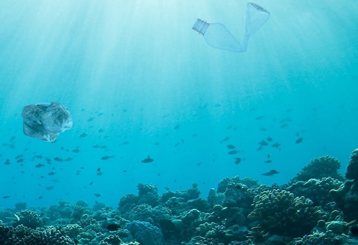 Adelantando el Día Mundial del Medio Ambiente 2023