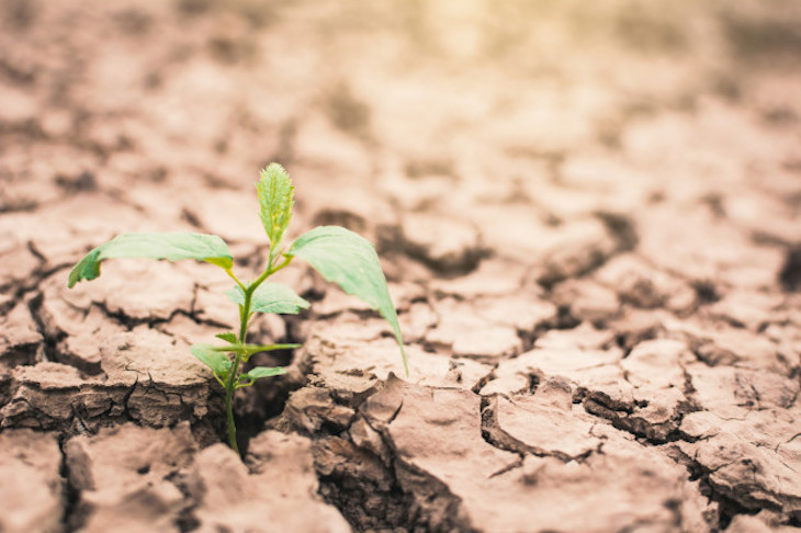 Ley de Transición Energética y Cambio Climático de Euskadi