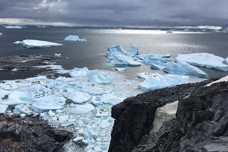 Las consecuencias biológicas del cambio climático