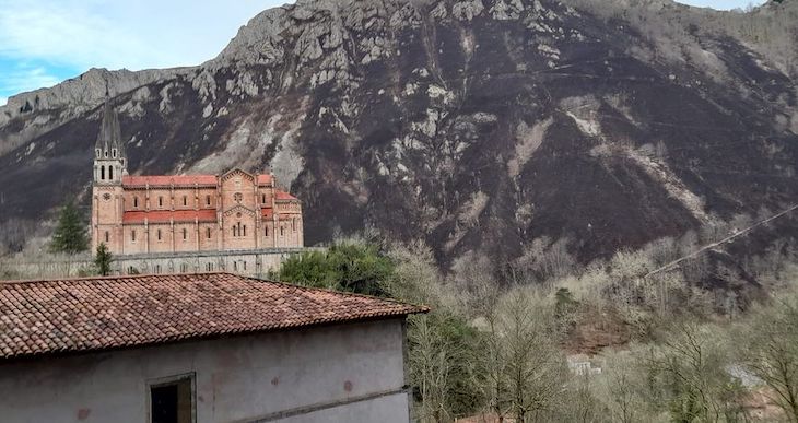 Aprobado un plan de emergencia para repoblar las 100 hectáreas de monte quemado en Covadonga