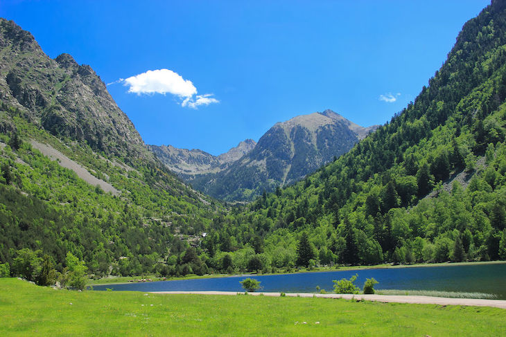 Andalucía asesora a empresas ubicadas en parques naturales para mejorar en rentabilidad y conservar el entorno