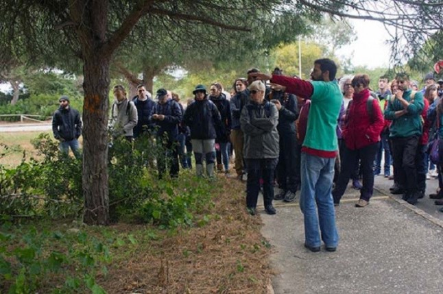 La ciudadanía contra la urbanización del mayor pinar de la costa de Sancti Petri