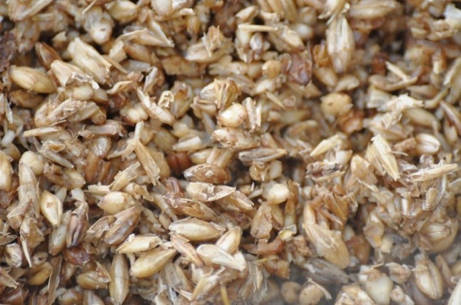 Economía circular aplicada a la industria cervecera