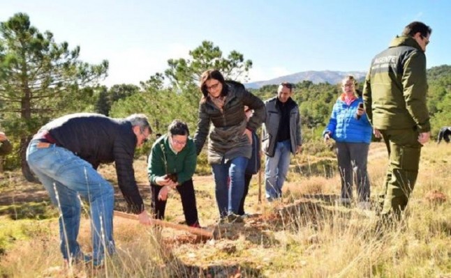 Reforestación participativa en la Sierra de Baza