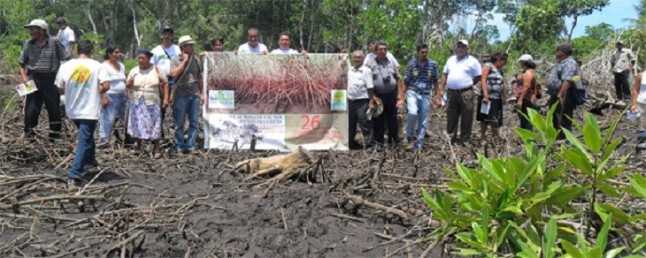 Proyecto para desarrollar Créditos de Carbono Azul para la Resiliencia