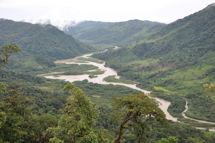 La alteración humana del paisaje amazónico se remonta a 10.000 años