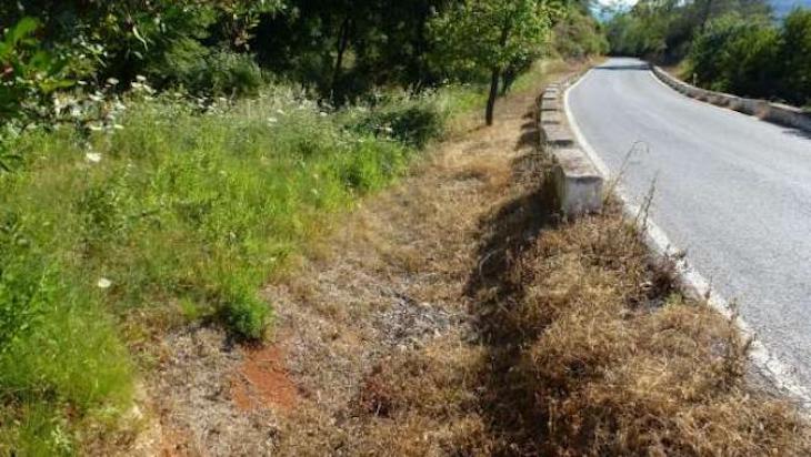 Cádiz busca desbrozar sin herbicidas los márgenes de las carreteras provinciales