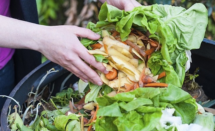 La FAO promueve una plataforma sobre medidas para reducir la pérdida y el desperdicio de alimentos