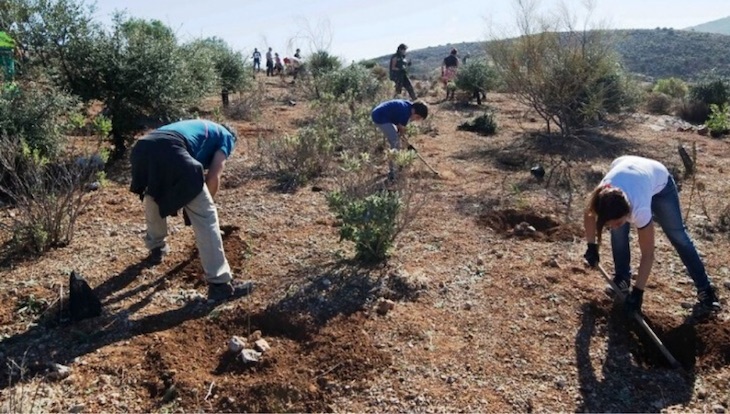 El proyecto ‘Málaga Viva’
