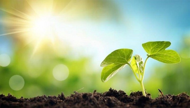 España suspende en la ley en Medio Ambiente europea