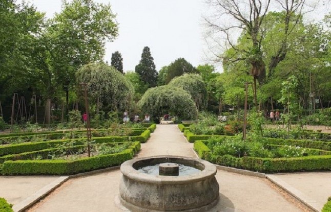 El Real Jardín Botánico te invita a explorar el mundo de las plantas
