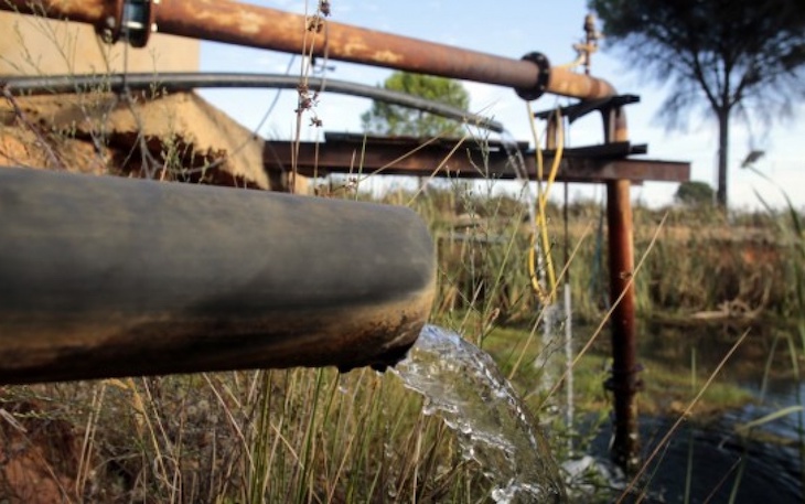 Juicio por extracciones ilegales del acuífero de Doñana