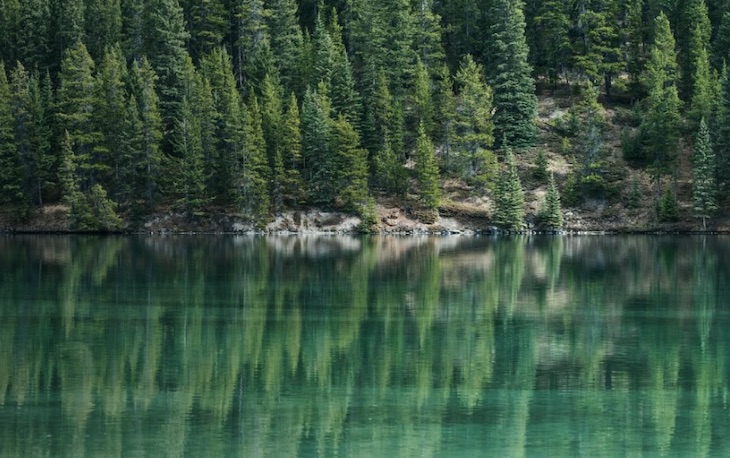 Microsoft AI for Earth impulsa dos proyectos en Euskadi para la sostenibilidad