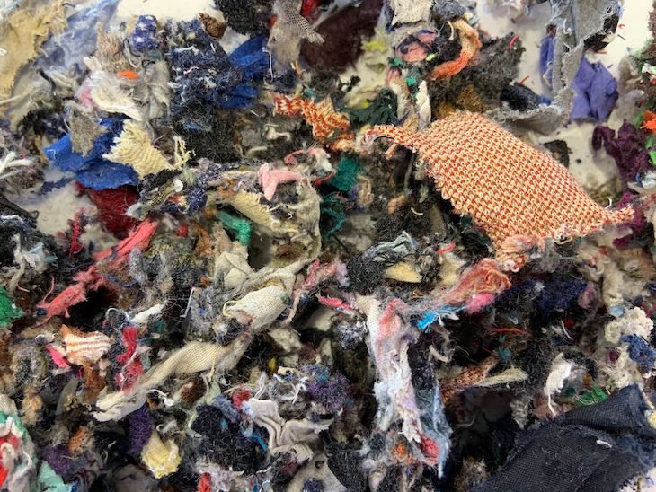 ProyectoEco Challenge