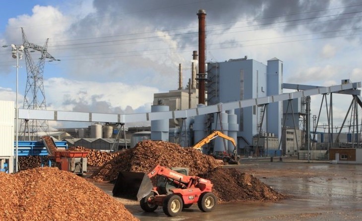 El negocio de energías renovables de Ence suaviza la caída del precio de la celulosa