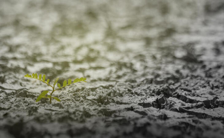 Xarxa per la Justicia Climática
