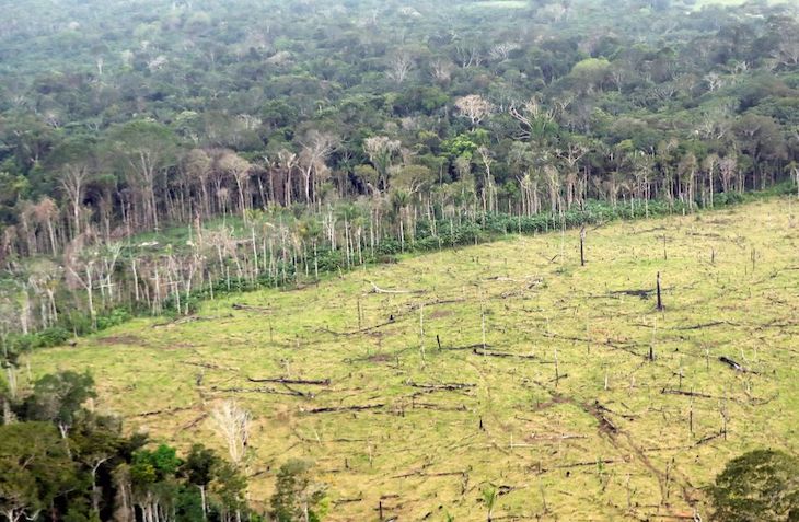 El acuerdo UE-Mercosur sería un obstáculo para el cumplimiento de los objetivos climáticos