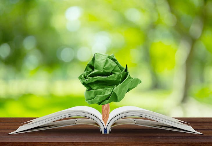 Plan de Acción de Educación Ambiental para la Sostenibilidad