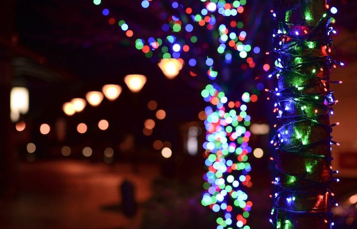Las luces navideñas y la biodiversidad