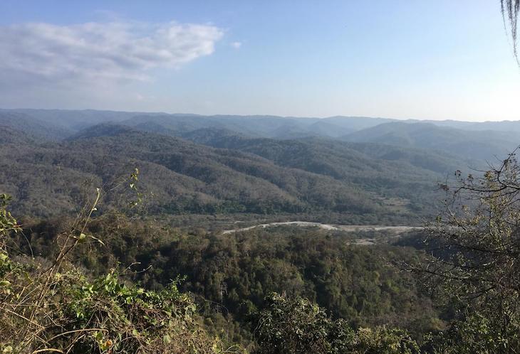 Los entornos extremos de la Tierra son los más favorables para que surjan nuevas especies