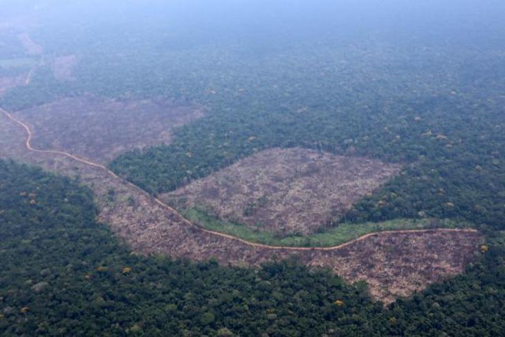 Reactivación económica y protección al medio ambiente y a la salud deben ir de la mano en la nueva normalidad mexicana